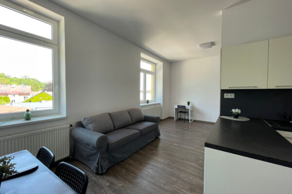 Pronájem bytu 1+kk, 47 m² – Na Letné