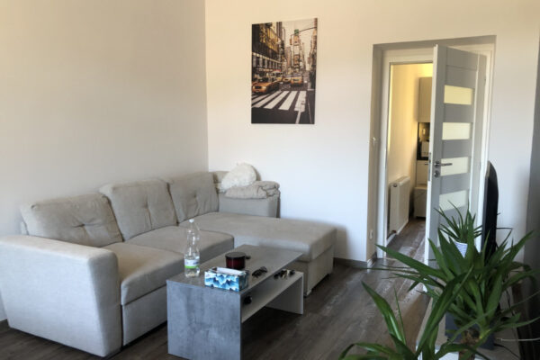 Praktický byt 1+1, 45 m² – Náchod, Na Letné